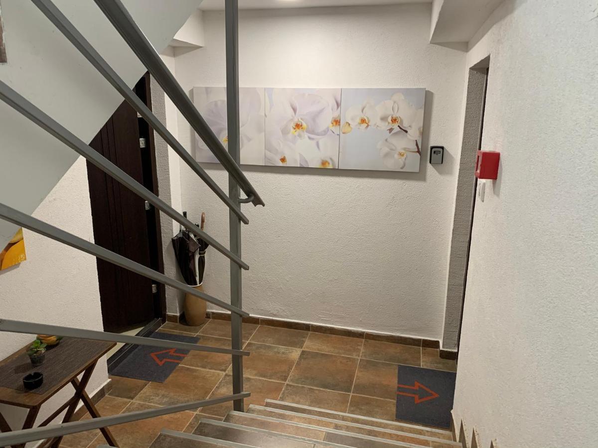 A6 Apartment Nowy Sad Zewnętrze zdjęcie