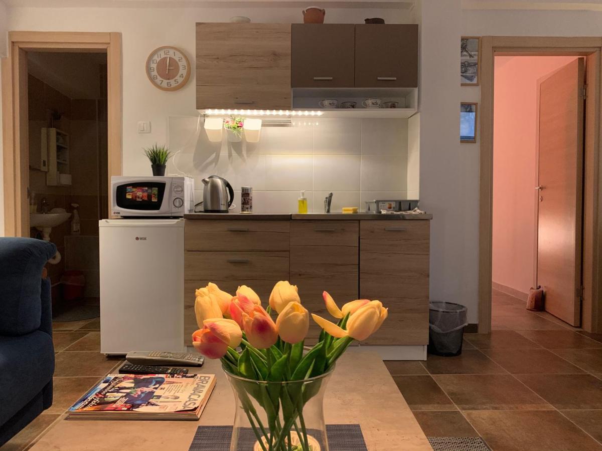 A6 Apartment Nowy Sad Zewnętrze zdjęcie