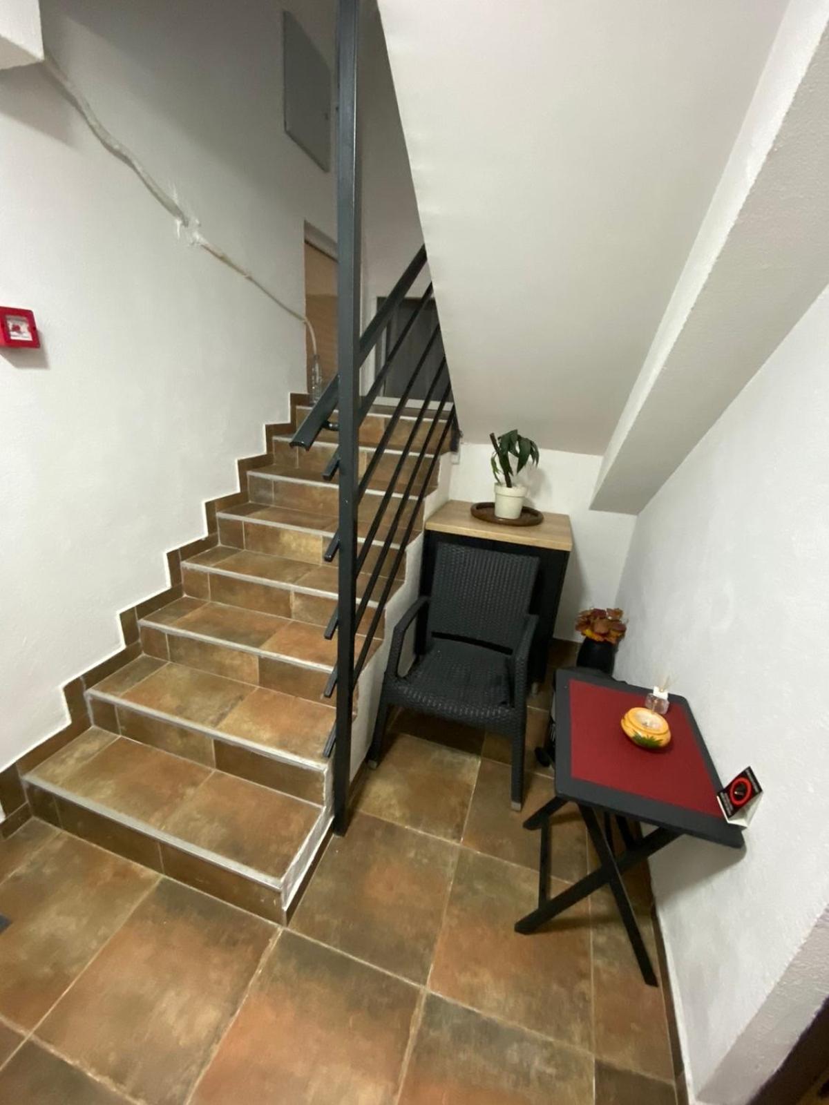A6 Apartment Nowy Sad Zewnętrze zdjęcie